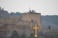 175.jpg