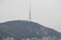 177.jpg